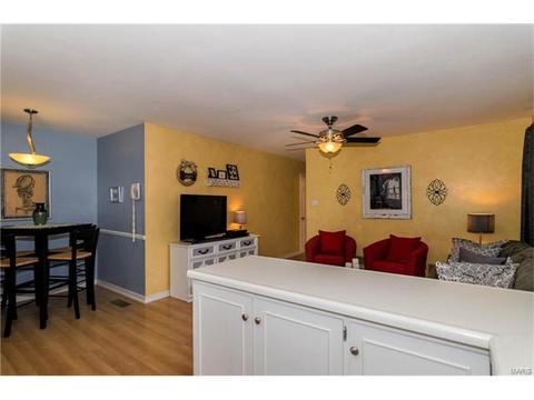 402 Palermo Dr, Ballwin, MO 63021 photo 15