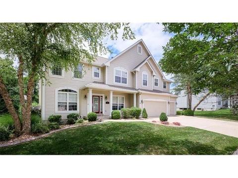 237 Chestnut Hill Dr, O'fallon, MO 63368 photo 35