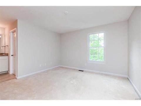 237 Chestnut Hill Dr, O'fallon, MO 63368 photo 27