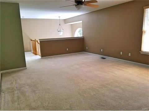 237 Chestnut Hill Dr, O'fallon, MO 63368 photo 19