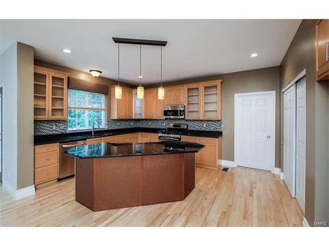 237 Chestnut Hill Dr, O'fallon, MO 63368 photo 13