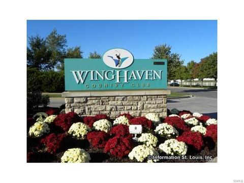 237 Chestnut Hill Dr, O'fallon, MO 63368 photo 39