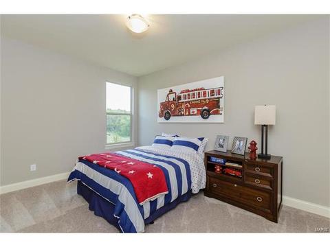 112 Stewards Ln, Eureka, MO 63025 photo 29