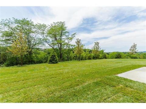 112 Stewards Ln, Eureka, MO 63025 photo 35