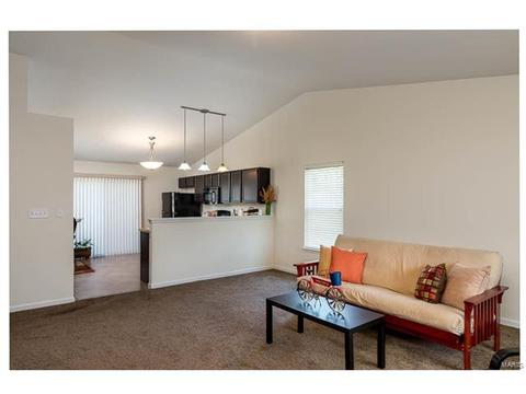 601 Lazy River Ct, O'fallon, MO 63366 photo 4