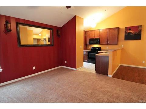 5301 Spring River Dr, O'fallon, MO 63368 photo 8
