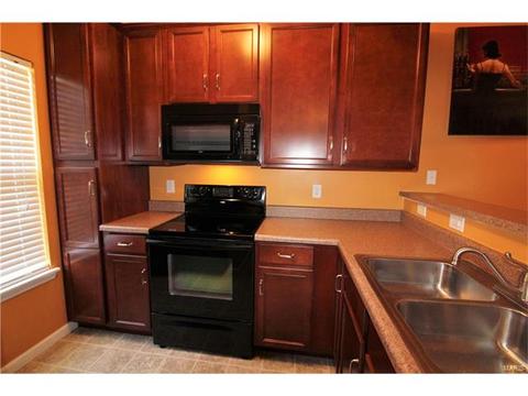 5301 Spring River Dr, O'fallon, MO 63368 photo 10