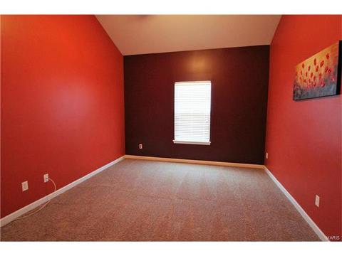 5301 Spring River Dr, O'fallon, MO 63368 photo 17