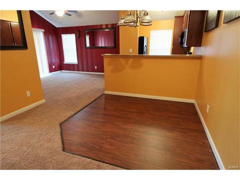 5301 Spring River Dr, O'fallon, MO 63368 photo 4