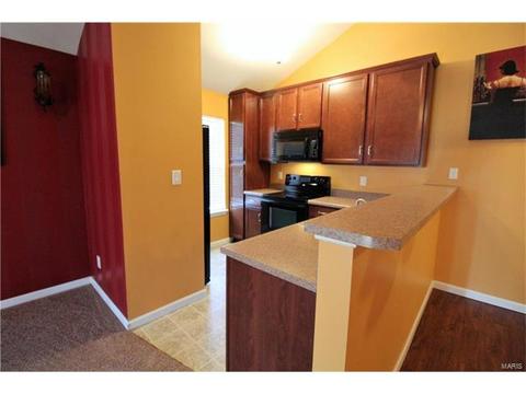 5301 Spring River Dr, O'fallon, MO 63368 photo 9