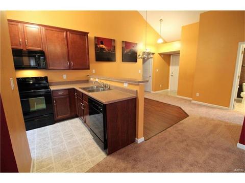 5301 Spring River Dr, O'fallon, MO 63368 photo 11