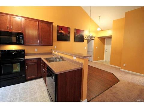 5301 Spring River Dr, O'fallon, MO 63368 photo 13