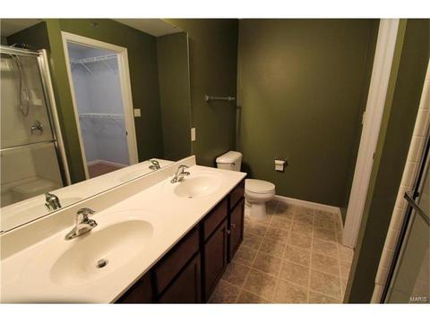5301 Spring River Dr, O'fallon, MO 63368 photo 27