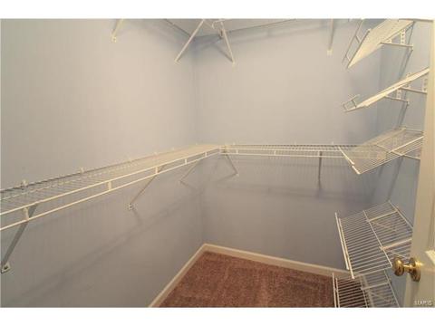 5301 Spring River Dr, O'fallon, MO 63368 photo 30