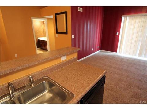 5301 Spring River Dr, O'fallon, MO 63368 photo 15