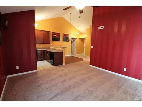 5301 Spring River Dr, O'fallon, MO 63368 photo 6