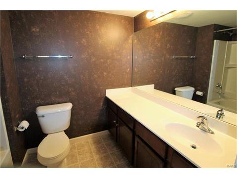 5301 Spring River Dr, O'fallon, MO 63368 photo 22
