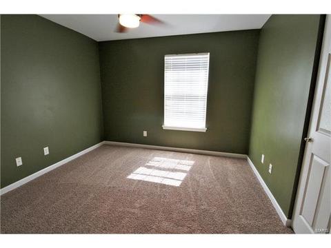 5301 Spring River Dr, O'fallon, MO 63368 photo 20