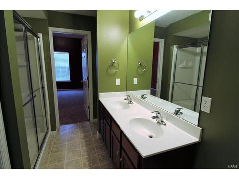 5301 Spring River Dr, O'fallon, MO 63368 photo 28