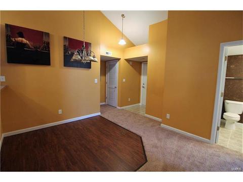 5301 Spring River Dr, O'fallon, MO 63368 photo 3