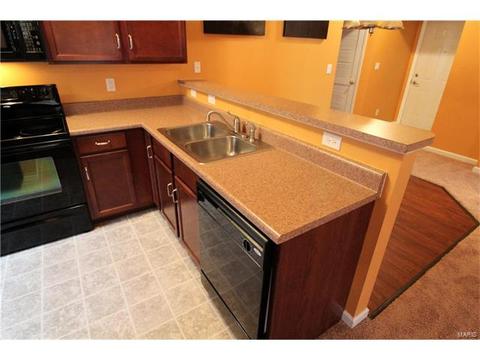 5301 Spring River Dr, O'fallon, MO 63368 photo 12