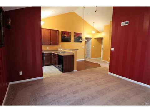 5301 Spring River Dr, O'fallon, MO 63368 photo 14