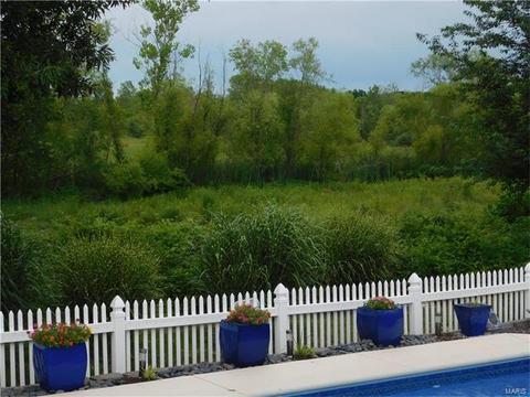 7551 Cinnamon Teal, O'fallon, MO 63368 photo 50