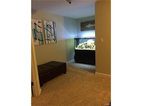 349 Wild Oak, O'fallon, MO 63368 photo 15