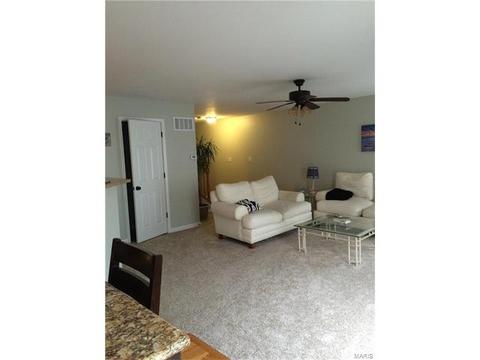 349 Wild Oak, O'fallon, MO 63368 photo 10