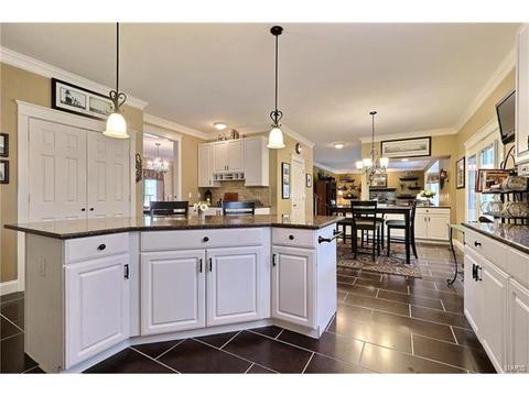 845 Castle Pines Dr, Ballwin, MO 63021 photo 18