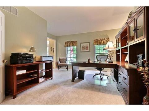 845 Castle Pines Dr, Ballwin, MO 63021 photo 6