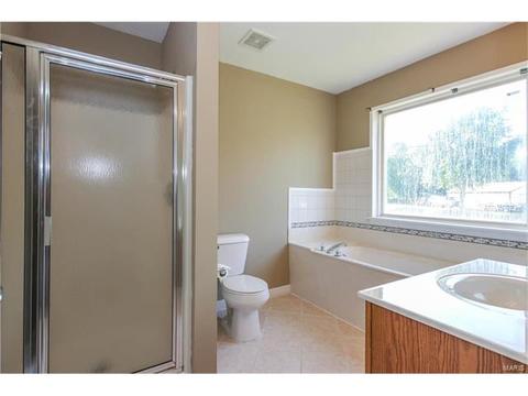 6 Betsys Flag Ct, O'fallon, MO 63366 photo 15