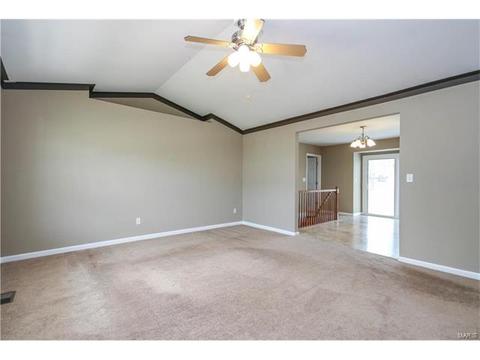 6 Betsys Flag Ct, O'fallon, MO 63366 photo 7