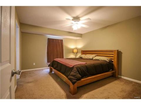 6 Betsys Flag Ct, O'fallon, MO 63366 photo 14