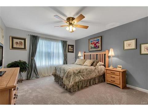 901 Sheffield Forest Ct, Ballwin, MO 63021 photo 16