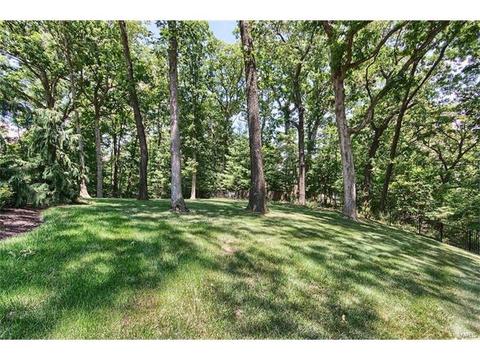 901 Sheffield Forest Ct, Ballwin, MO 63021 photo 34