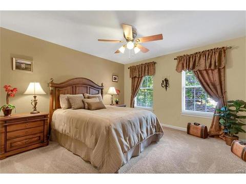 901 Sheffield Forest Ct, Ballwin, MO 63021 photo 17