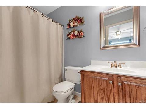 901 Sheffield Forest Ct, Ballwin, MO 63021 photo 24