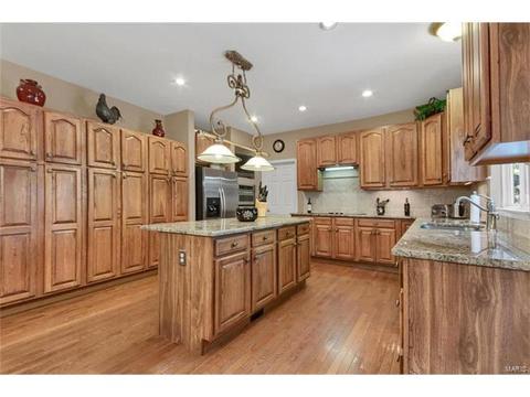 901 Sheffield Forest Ct, Ballwin, MO 63021 photo 4