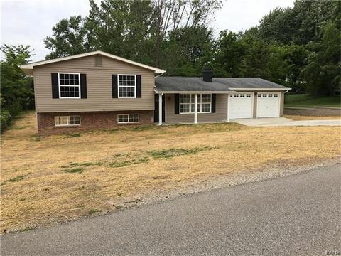11 S Perry Cir, O'fallon, MO 63366 photo 25