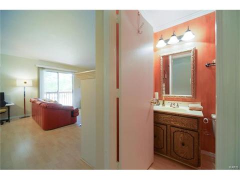 1356 Holgate #E2, Ballwin, MO 63021 photo 14