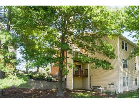 1356 Holgate #E2, Ballwin, MO 63021 photo 26