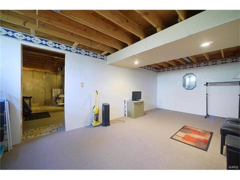 1356 Holgate #E2, Ballwin, MO 63021 photo 22