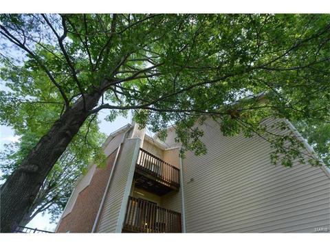 1356 Holgate #E2, Ballwin, MO 63021 photo 25