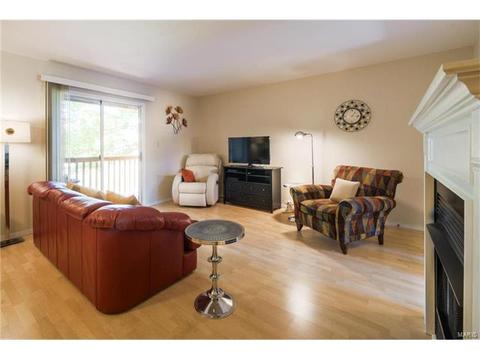 1356 Holgate #E2, Ballwin, MO 63021 photo 7