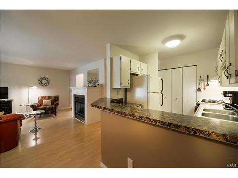 1356 Holgate #E2, Ballwin, MO 63021 photo 13