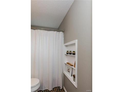 903 Imperial Pt, Manchester, MO 63021 photo 27