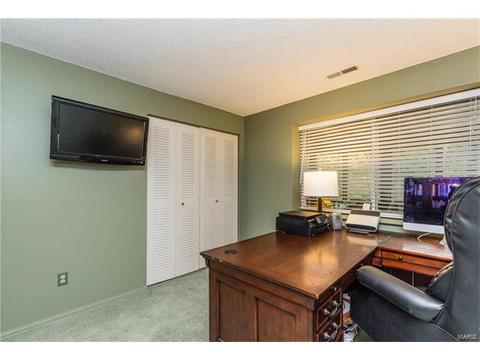 903 Imperial Pt, Manchester, MO 63021 photo 34