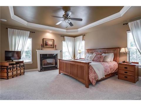 163 Timber Meadows Dr, O'fallon, MO 63368 photo 12