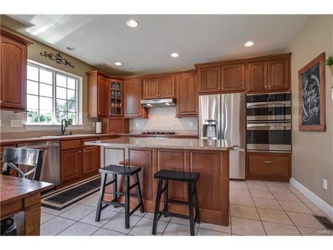 163 Timber Meadows Dr, O'fallon, MO 63368 photo 3